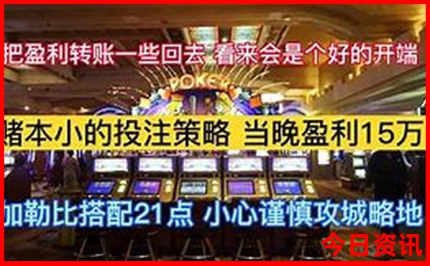陇南有什么旅游景点